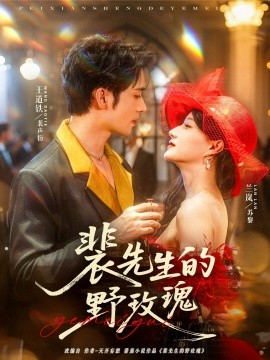 裴先生的野玫瑰